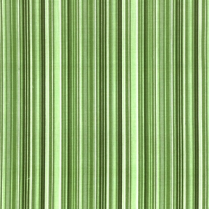 17 - Listrado Verde