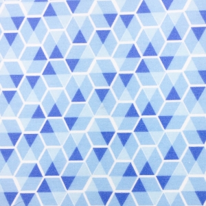 44 - Colmeia Azul