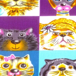 F - Gato Color